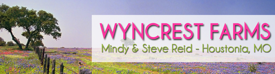 Wyncrest Farms - Mindy Gibson